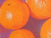 Les oranges, 2008; Acryl/Lwd; 30x30cm